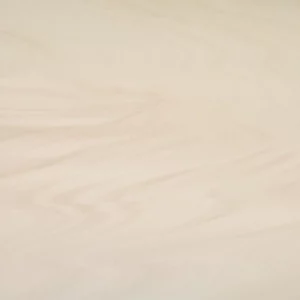 Neolith Arena