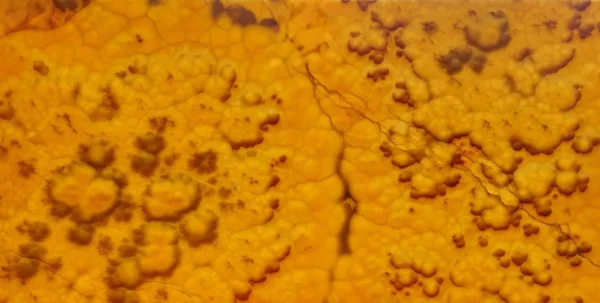 Onyx Orange PODŚWIETLONY