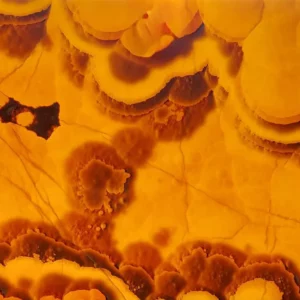 Onyx Orange PODŚWIETLONY