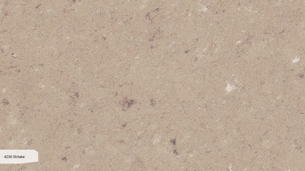 4230 Shitake [Caesarstone]