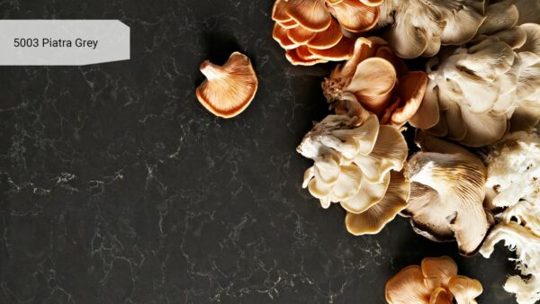 5003 Piatra Grey [Caesarstone] - obrazek 4