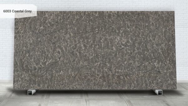 6003 Coastal Grey [Caesarstone] - obrazek 2