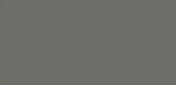 Gris Expo [Silestone] - obrazek 2
