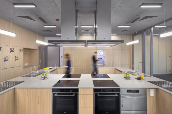 Noble Concrete Grey [Technistone] - obrazek 6